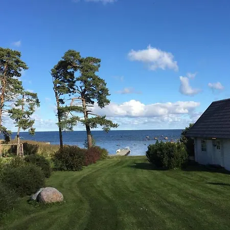 Sea Breeze